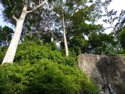 man - Photo 4