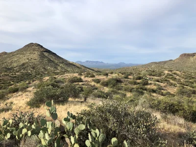 Maricopa County - Photo 5