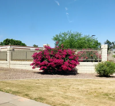Glendale - Photo 3