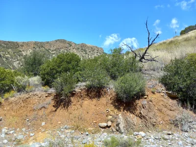 Trabuco Canyon - Photo 2
