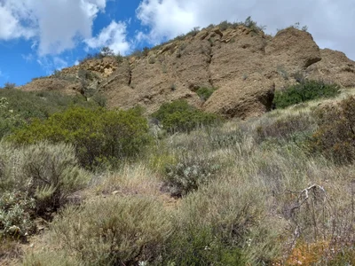 Trabuco Canyon - Photo 3