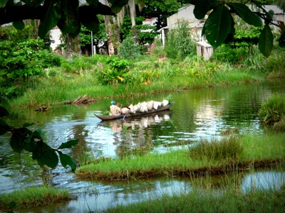 Manakara - Photo 2