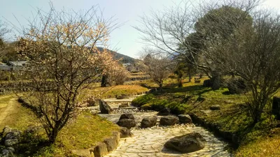 Bungo-Takada - Photo 4