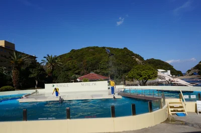 Taiji - Photo 2