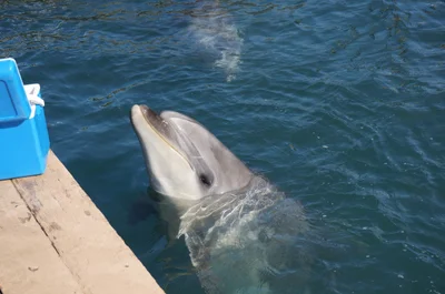Taiji - Photo 3