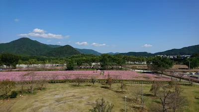 Ochi - Photo 2