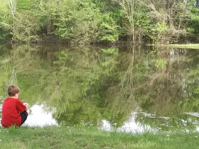 Talladega County - Photo 3