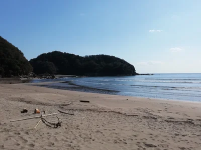 Toyo - Photo 2