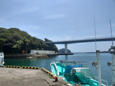 Toyo - Photo 3