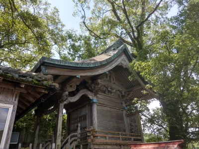 Toyo - Photo 4