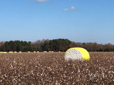 Orangeburg County - Photo 5