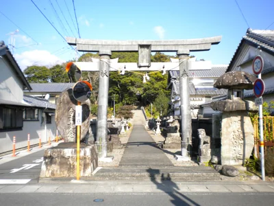 Tano - Photo 3