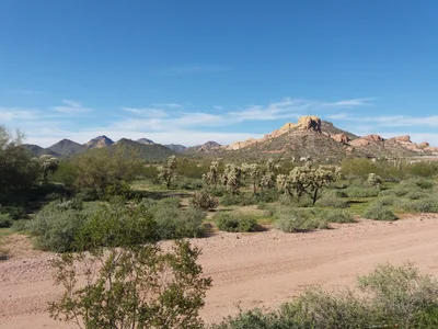 Pinal County - Photo 2