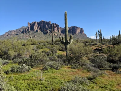 Pinal County - Photo 3