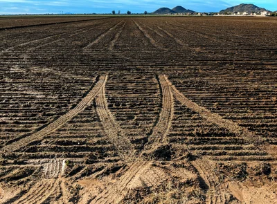 Pinal County - Photo 4