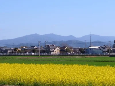 Tachiarai - Photo 2