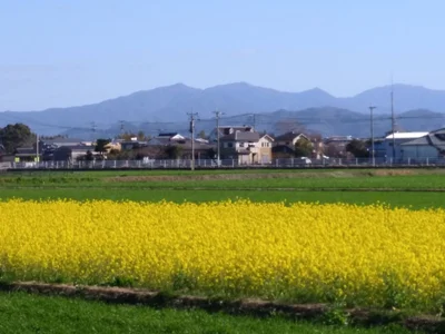 Tachiarai - Photo 4