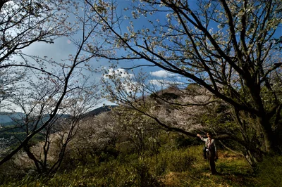 Yoshinogari - Photo 2