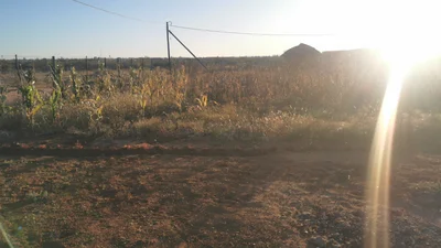 Louis Trichardt - Photo 3