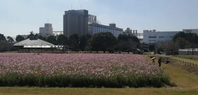 Kokonoe - Photo 3