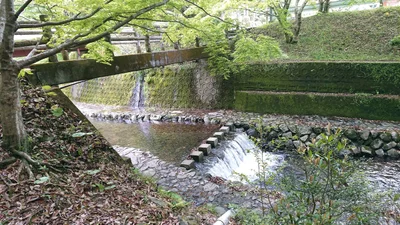 Arita - Photo 2