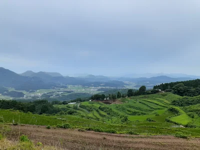 Arita - Photo 3