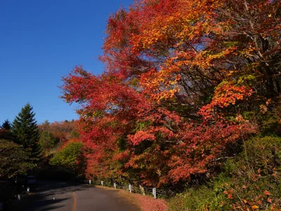 Oguni - Photo 3