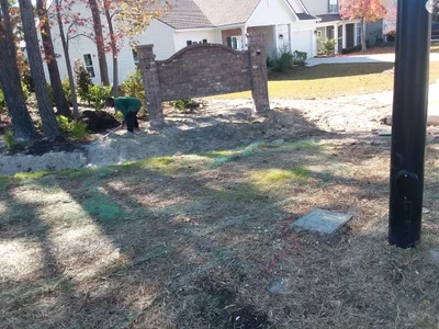 Berkeley County - Photo 3