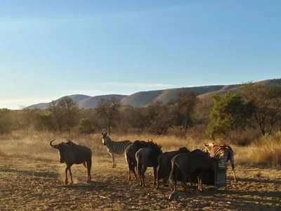 Thabazimbi Local Municipality - Photo 2