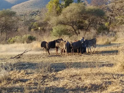 Thabazimbi Local Municipality - Photo 3