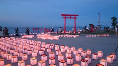 Tara - Photo 2