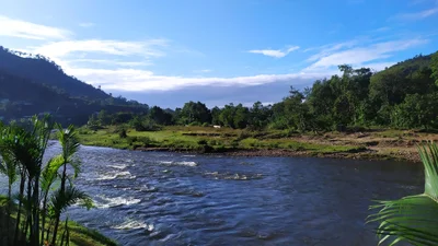 Ranomafana - Photo 2