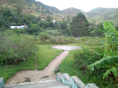 Ranomafana - Photo 3