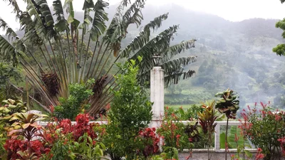Ranomafana - Photo 5