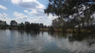 Moundville - Photo 3