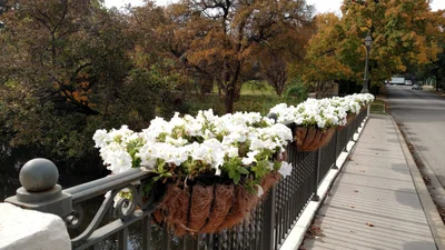 Highland Park - Photo 2
