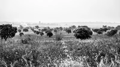 Ndola - Photo 2