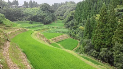 Yamato - Photo 5
