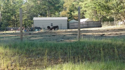 Byron - Photo 2