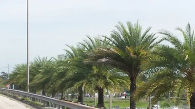 Byron - Photo 4