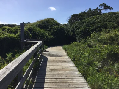Charleston County - Photo 4