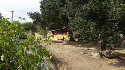 Campo - Photo 2