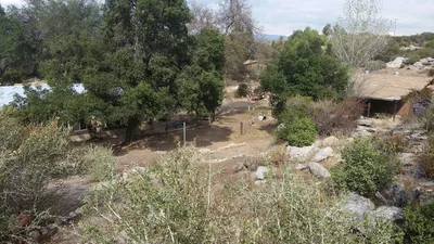 Campo - Photo 3