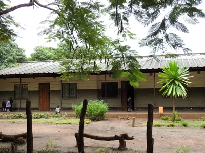 Mpongwe - Photo 3