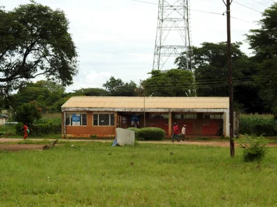 Mpongwe - Photo 4