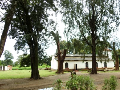 Mpongwe - Photo 5