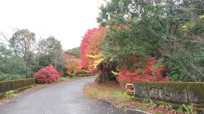 Itsuki - Photo 3