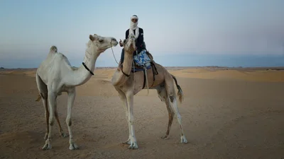 Hassi Messaoud - Photo 3