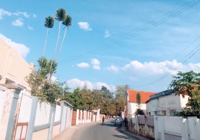 Huambo - Photo 3