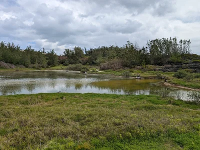 Spittal Pond Nature Reserve - Photo 4